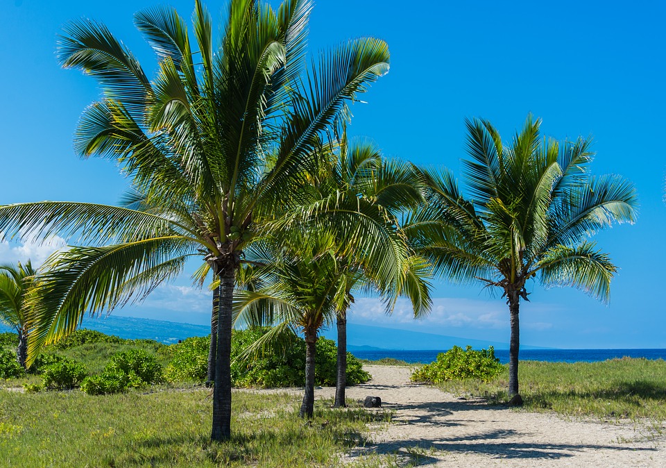 Hawaii, USA