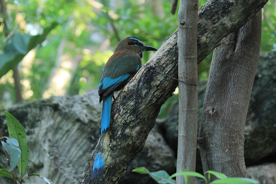 CANCUN,   Yucatan Peninsula